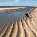 The Best Beaches in Suffolk County to Visit This Summer