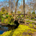 Exploring the Best Parks and Recreation Areas in Suffolk County